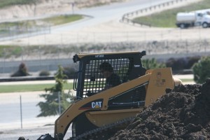 randy_bobcat